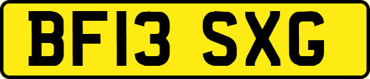 BF13SXG