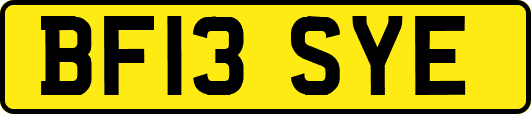BF13SYE