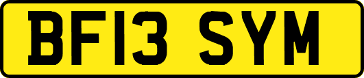 BF13SYM