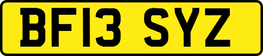 BF13SYZ