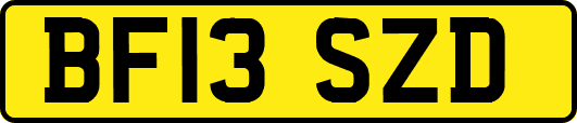 BF13SZD