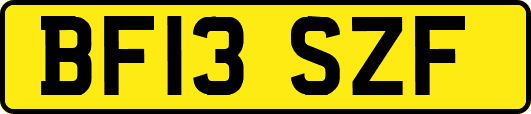 BF13SZF