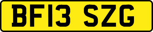 BF13SZG