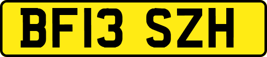 BF13SZH