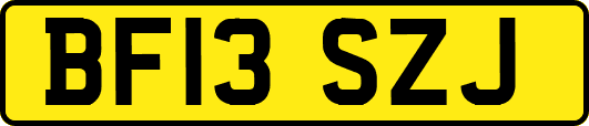 BF13SZJ