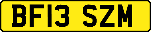 BF13SZM