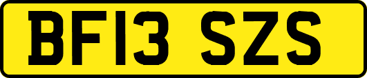 BF13SZS
