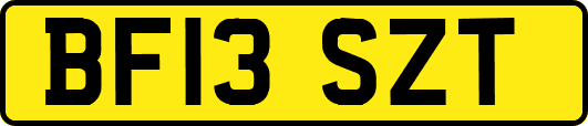 BF13SZT