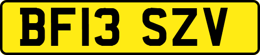 BF13SZV