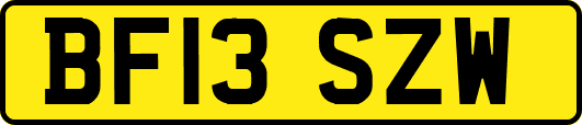 BF13SZW