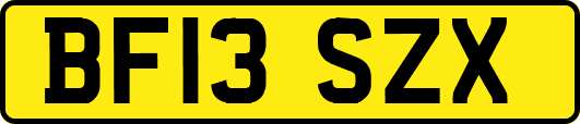 BF13SZX