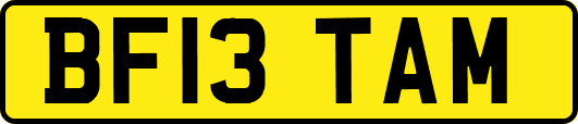 BF13TAM