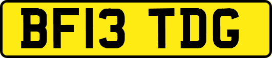 BF13TDG