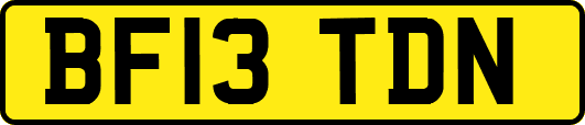 BF13TDN