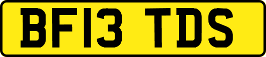 BF13TDS