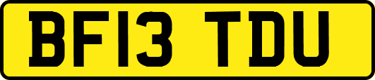 BF13TDU