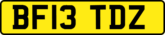 BF13TDZ