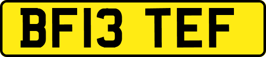 BF13TEF