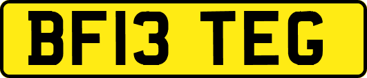 BF13TEG