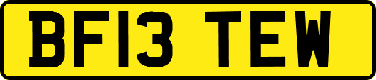 BF13TEW