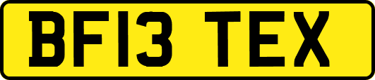 BF13TEX