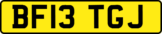 BF13TGJ