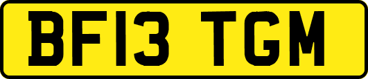BF13TGM