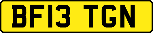 BF13TGN