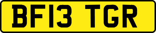 BF13TGR