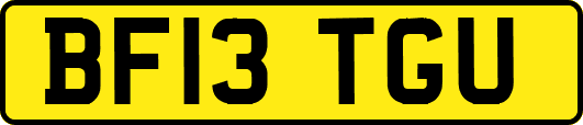 BF13TGU