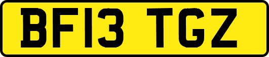 BF13TGZ
