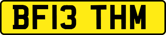 BF13THM