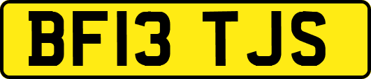 BF13TJS