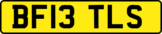BF13TLS