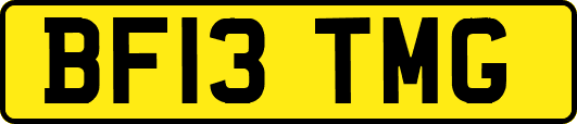 BF13TMG