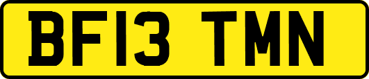 BF13TMN