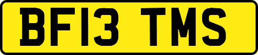 BF13TMS