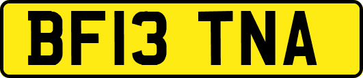 BF13TNA