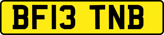 BF13TNB
