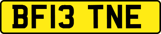 BF13TNE