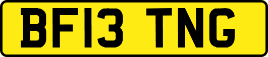BF13TNG
