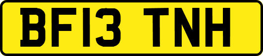 BF13TNH