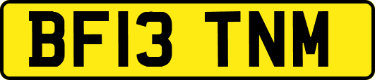 BF13TNM