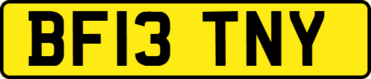 BF13TNY