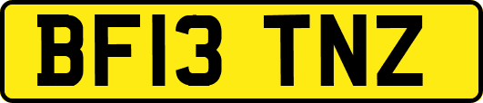 BF13TNZ