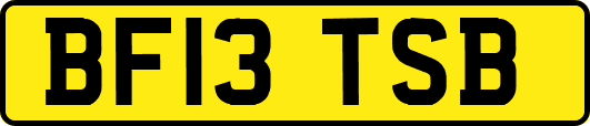 BF13TSB