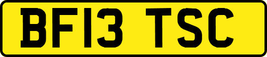BF13TSC