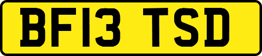BF13TSD
