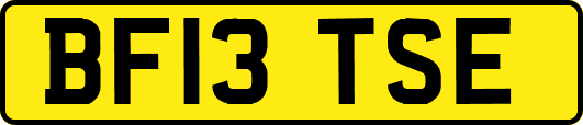 BF13TSE
