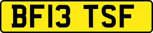 BF13TSF